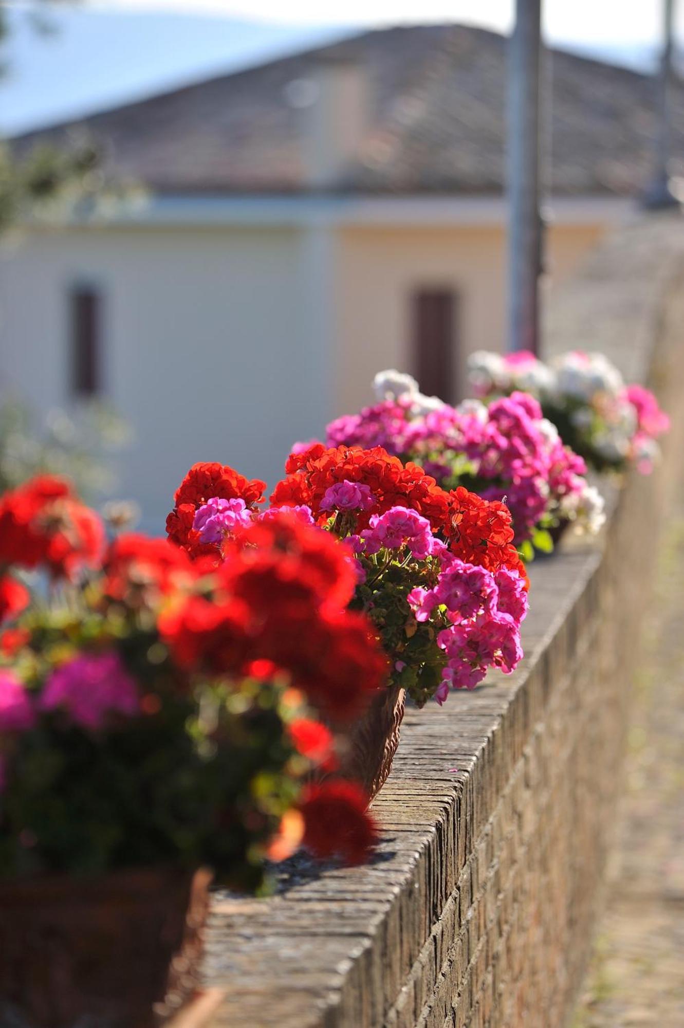 Montemaggiore al Metauro Albergo Diffuso Borgo Montemaggiore מראה חיצוני תמונה